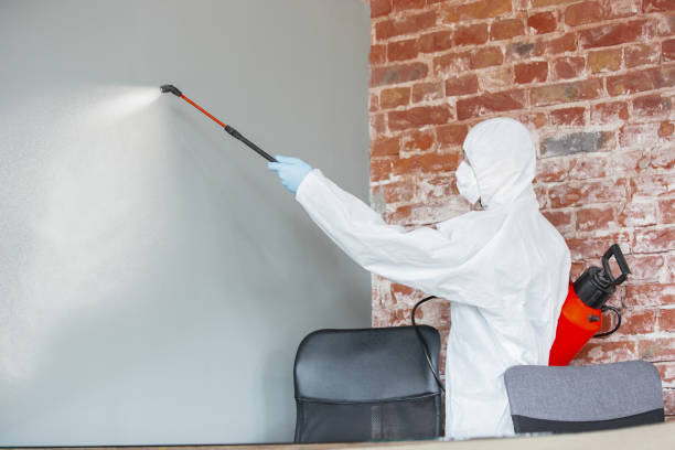 Best Forensic Mold Investigation  in Kaser, NY