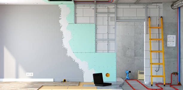 Best Residential Mold Inspection & Testing  in Kaser, NY