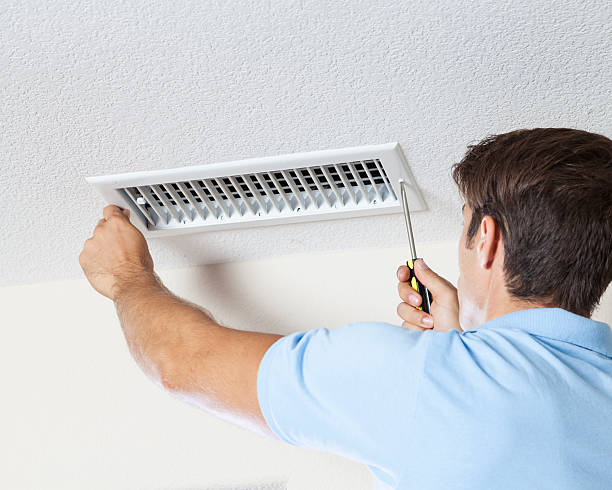 Professional Mold Removal in Kaser, NY