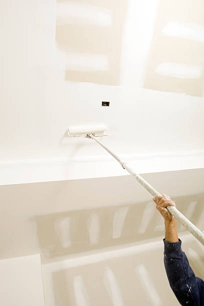  Kaser, NY Mold Removal Pros