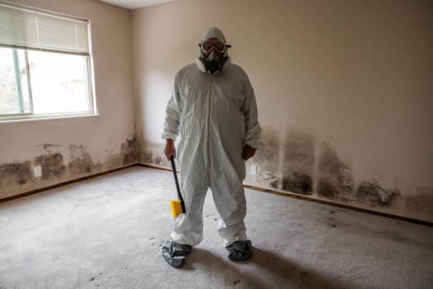 Best Asbestos and Lead Testing During Mold Inspection  in Kaser, NY