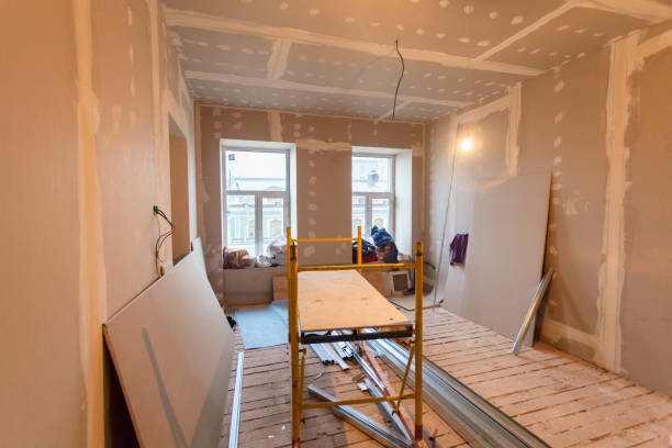 Forensic Mold Investigation in Kaser, NY