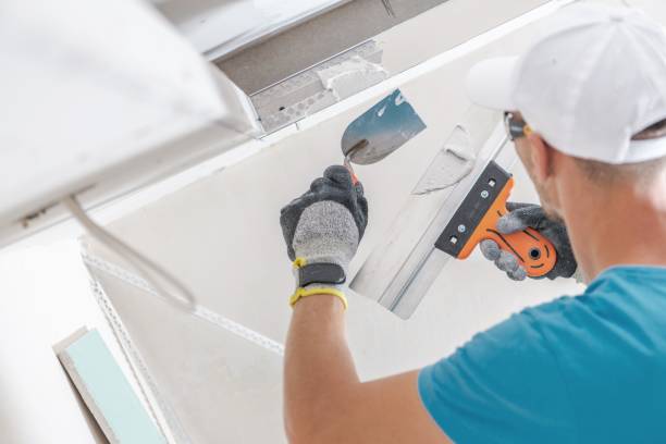 Best Biohazard Mold Removal  in Kaser, NY